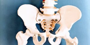 坐骨神経痛を和らげる大腰筋・腸腰筋ストレッチ｜腰の奥の痛みを改善する方法