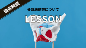 骨盤底筋とは？どこにある？尿漏れ・姿勢悪化を防ぐ骨盤底筋群を整える方法
