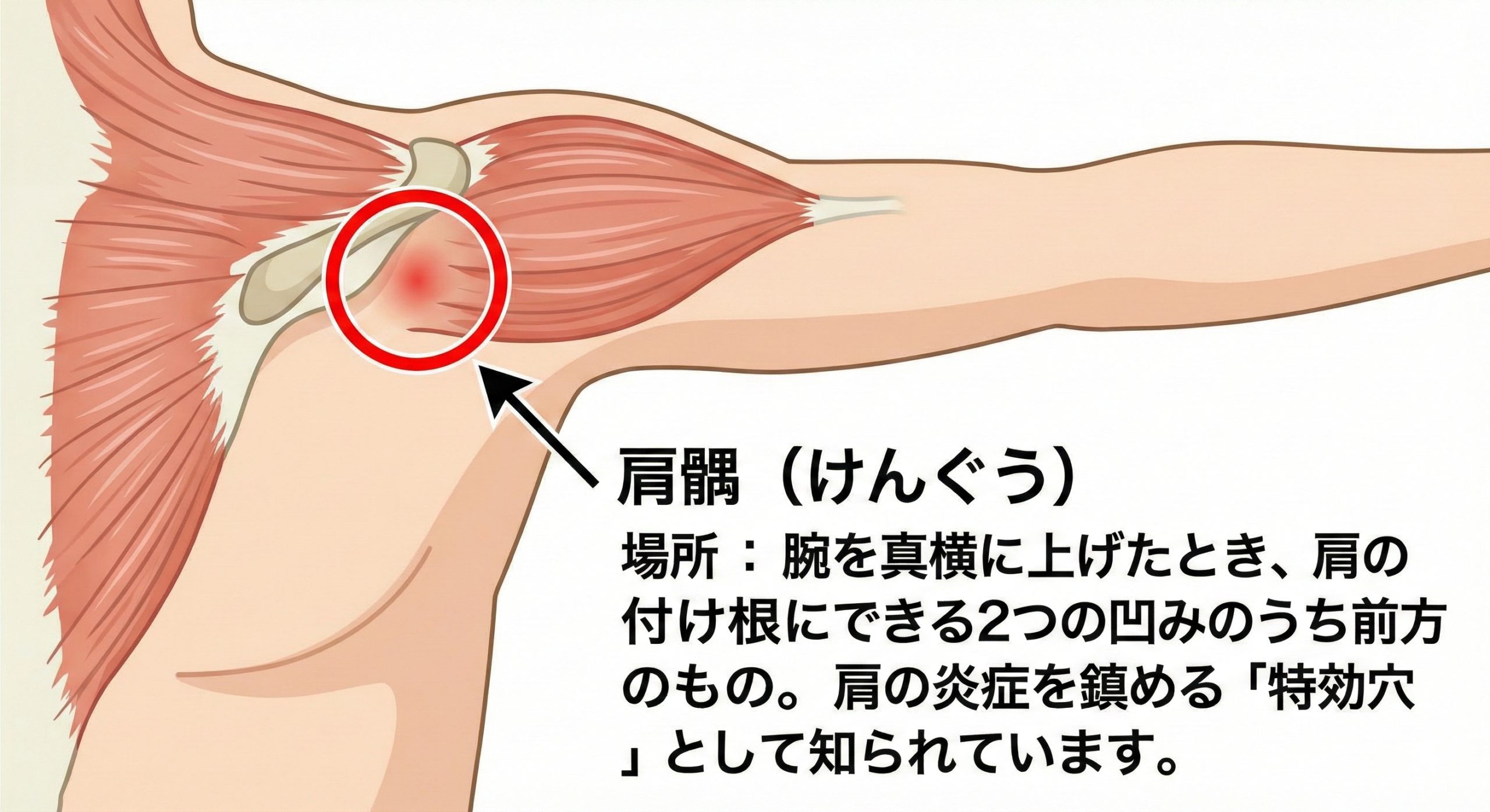 肩髃（けんぐう）の場所