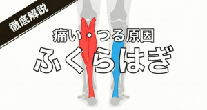 整骨院監修｜ふくらはぎが痛い・つる原因は？肉離れを防ぎパフォーマンスを上げるスポーツ筋トレ