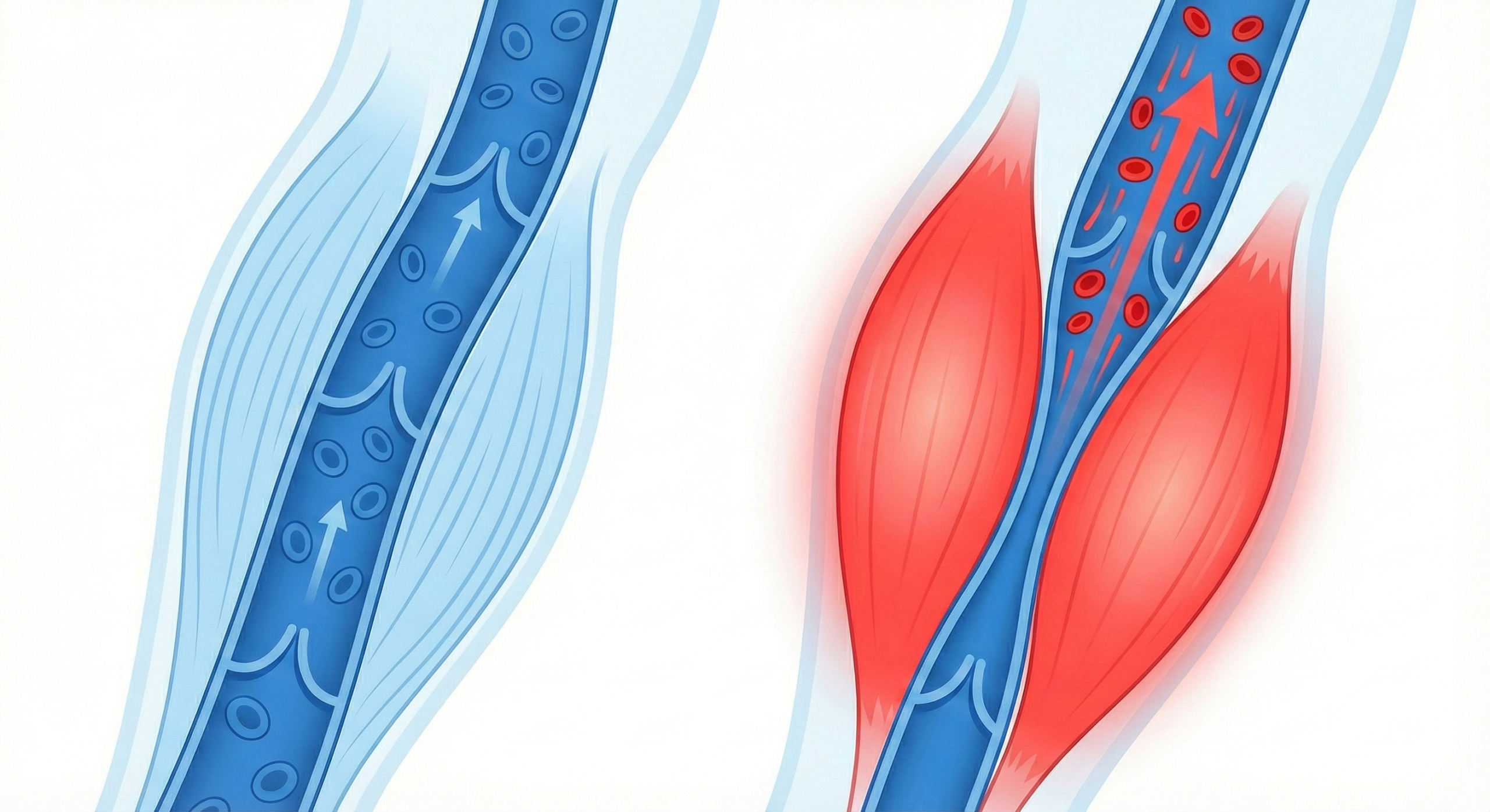 ミルキングアクションの説明